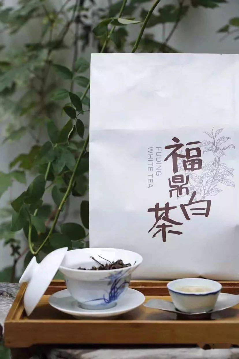 陈茶|生活 | 怎样选择适合自己状态的茶