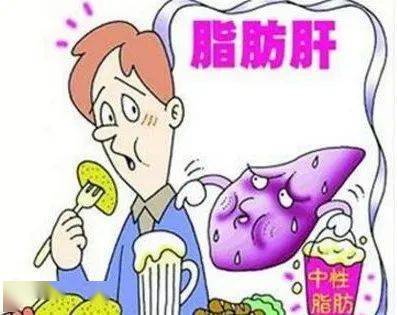 怎么样才算重度脂肪肝 9c53eb90137e441d8954263dff2e3f67.jpeg
