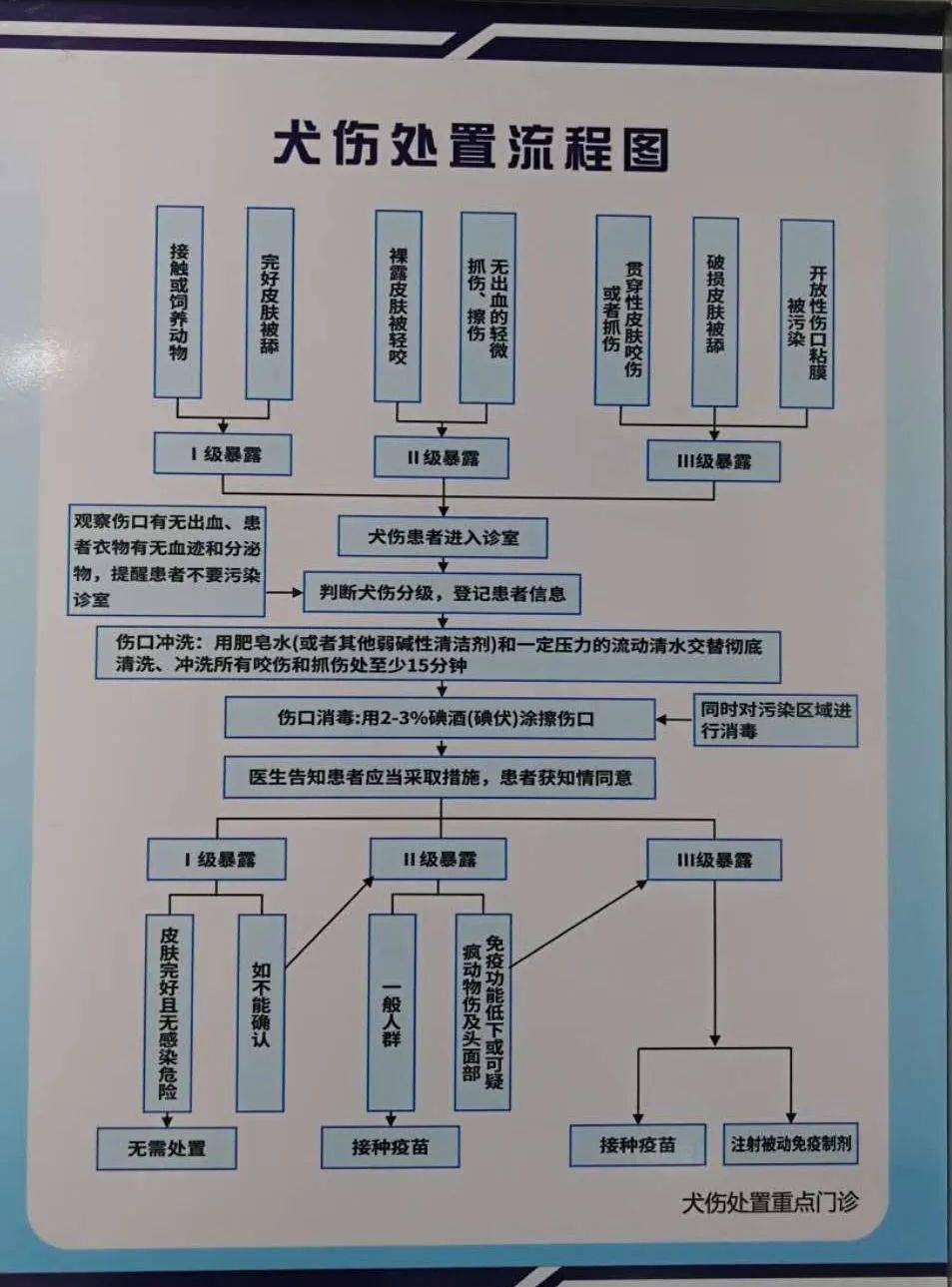 动物致伤,北海有标准化狂犬病预防处置重点门诊啦!