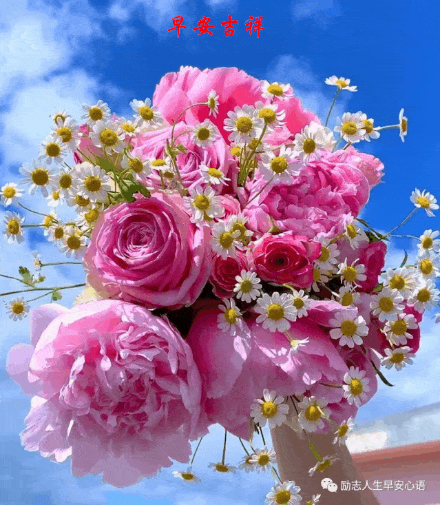 人共享 想要享受美好,先要愿意放手一搏 新的一天,祝朋友们: 生活愉快