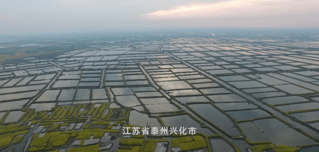 兴化陈堡2020GDP_兴化粉