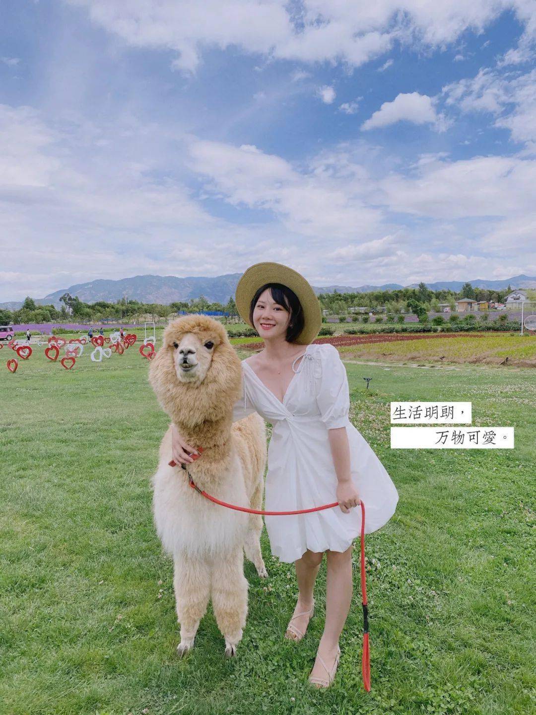 农妇|湖南女孩免费改造23位农妇，变妆前后对比令人泪目...