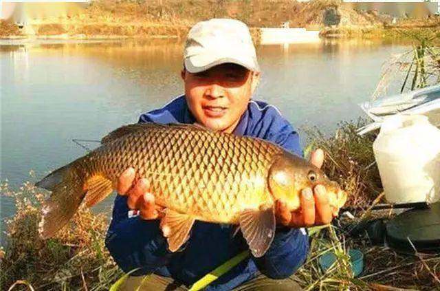 大鱼|我就只服这饵秋天对付大物
