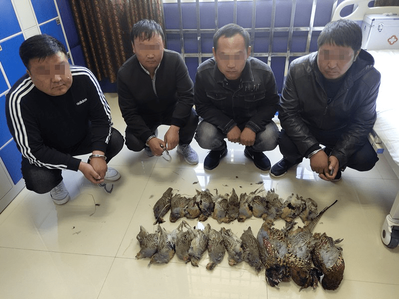 通辽旗县又4人被抓!