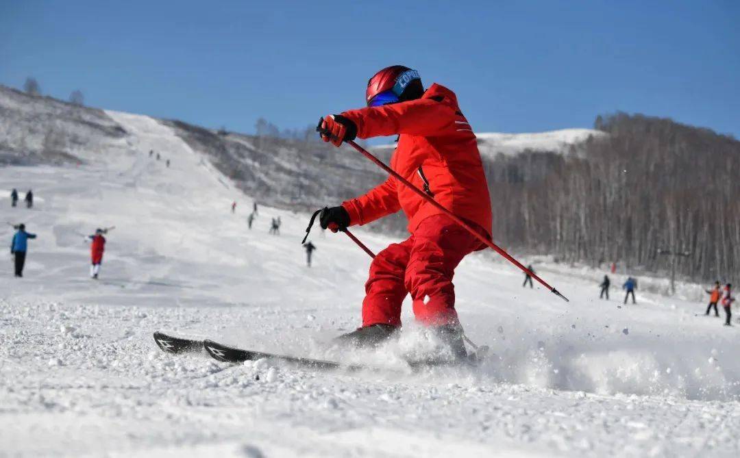 马术表演 马术表演 马术表演 高山滑雪 高山滑雪 雪地摩托 越野滑雪