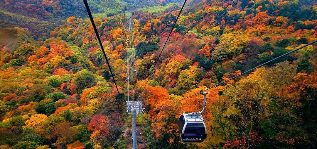 巴中光雾山迎来旅游高峰!景区人从众