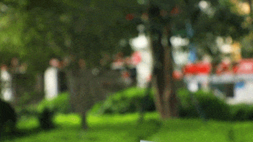 补充|这款宝藏零食终于被挖出来了！踩雷无数次后