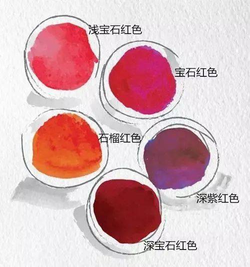 葡萄怎么看品种