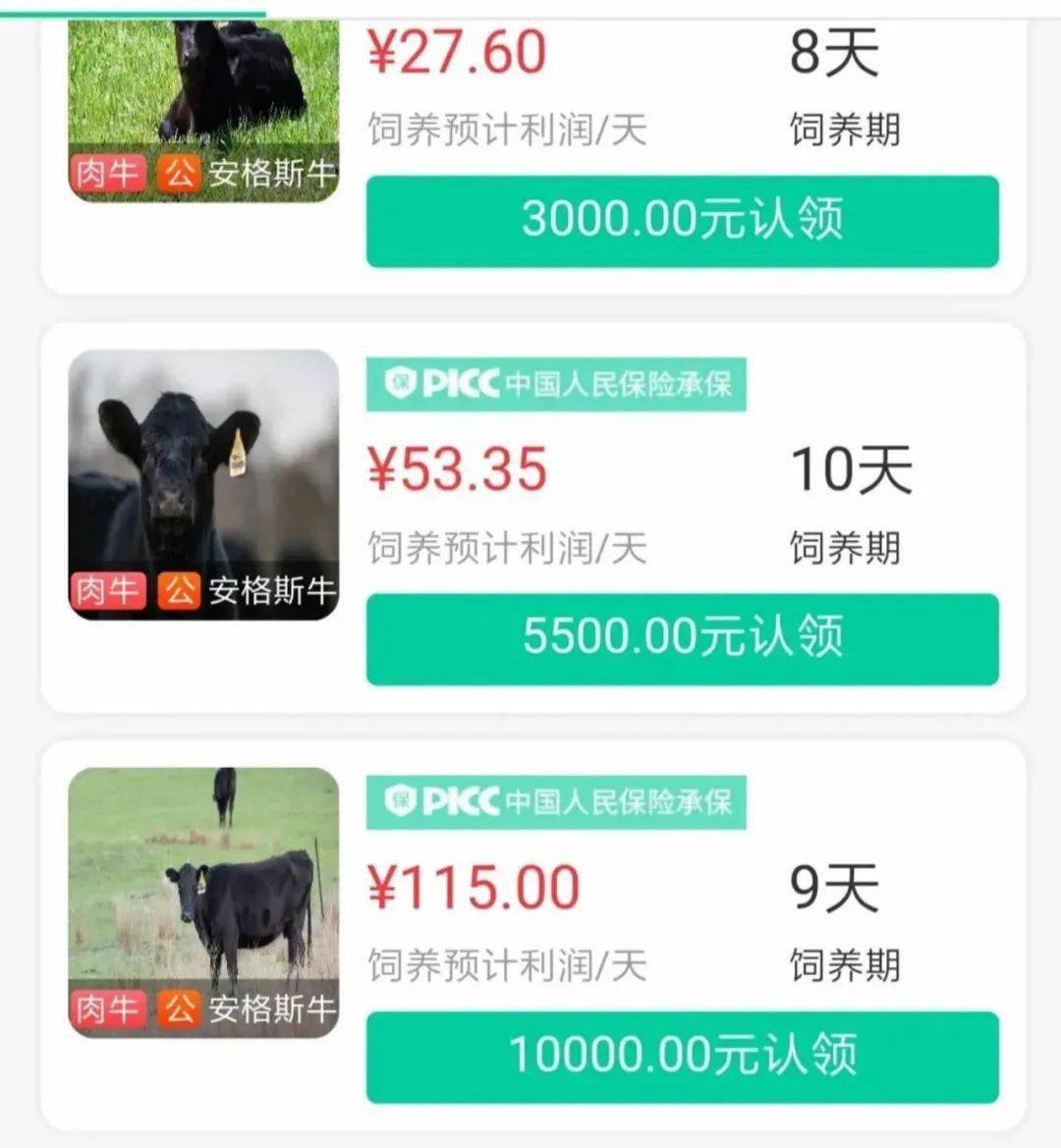 “云养牛”疯狂收割，马云、刘强东“催生”的