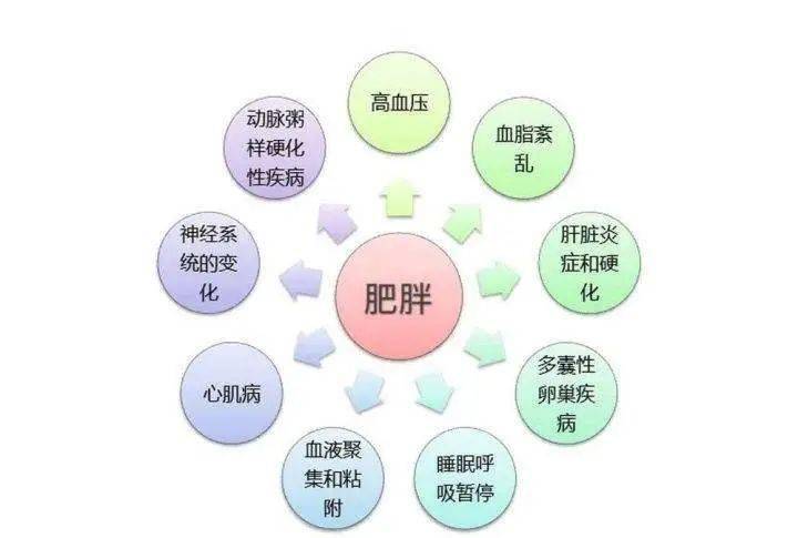 国家六部门联合印发儿童青少年肥胖防控实施方案的通知,切实有效遏制