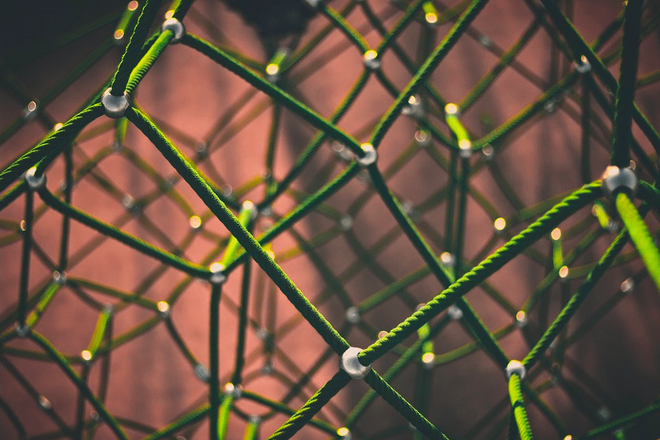 金年会官网:
Nature通讯:基于先验知识的网络推断