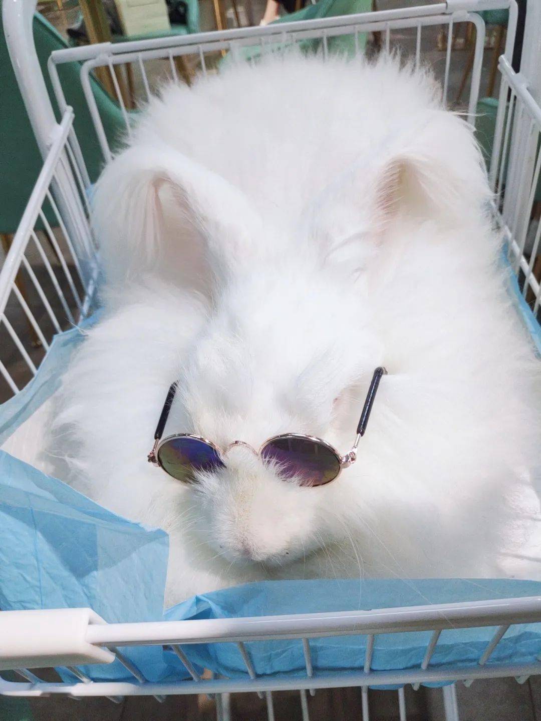 夏天|十月小结 | 这里有一份秋日温柔待查收!