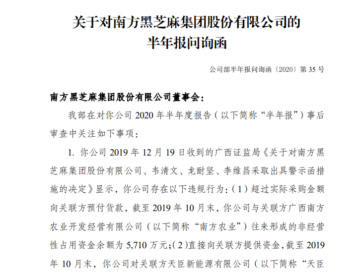 黑芝麻多元化迷途：2亿账面资金咋应对15亿短债