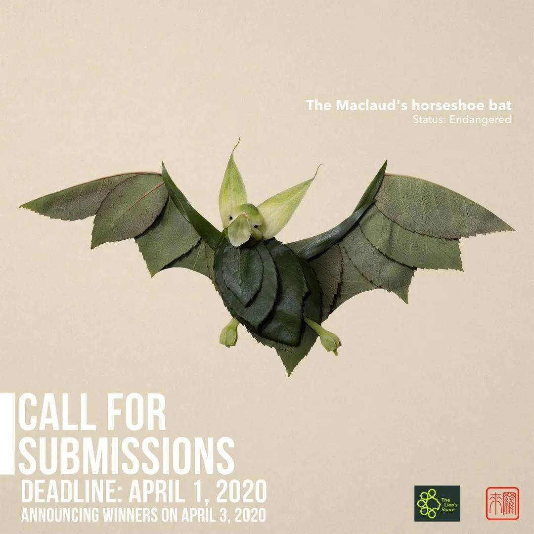 井上罗|花卉版的时尚品牌！