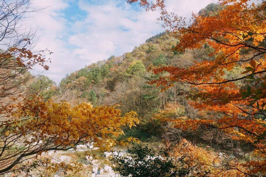岳西鹞落坪 ——秋天的童话 鹞落坪,一个传奇的地方,一个诗意的名字