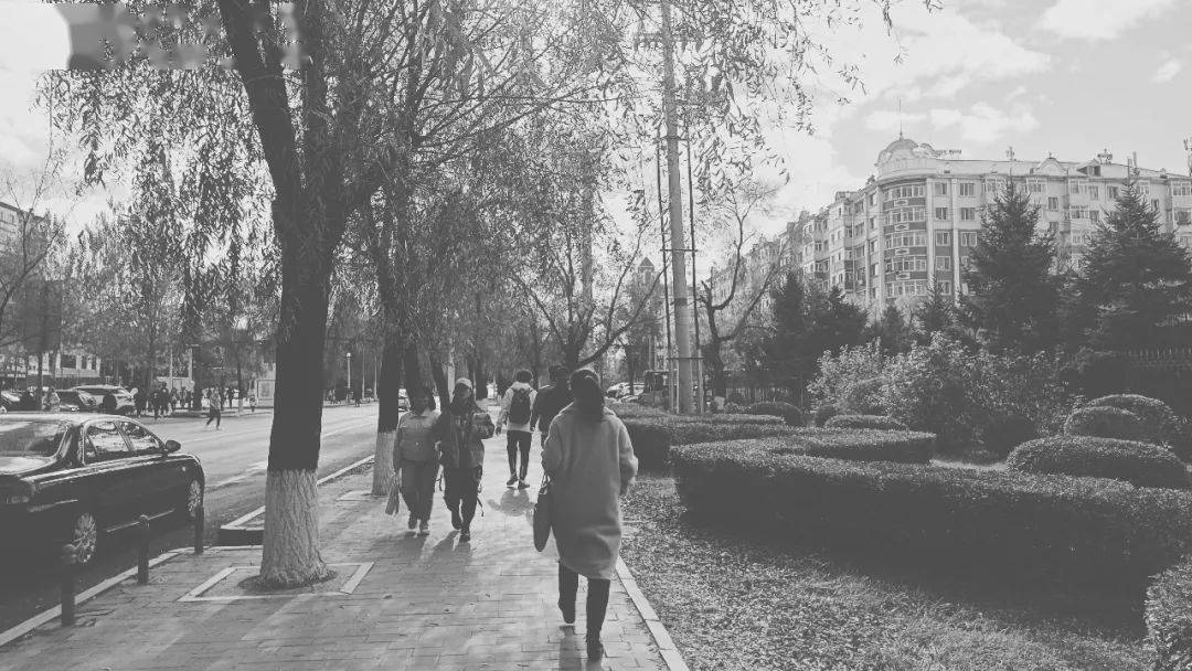 要怎么做才会让自己光芒万丈 f2280b6d5f6b4fe0b2e180ed1aa8122a.jpeg