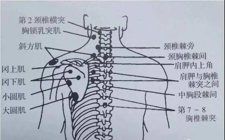 疼痛科常用体检大全