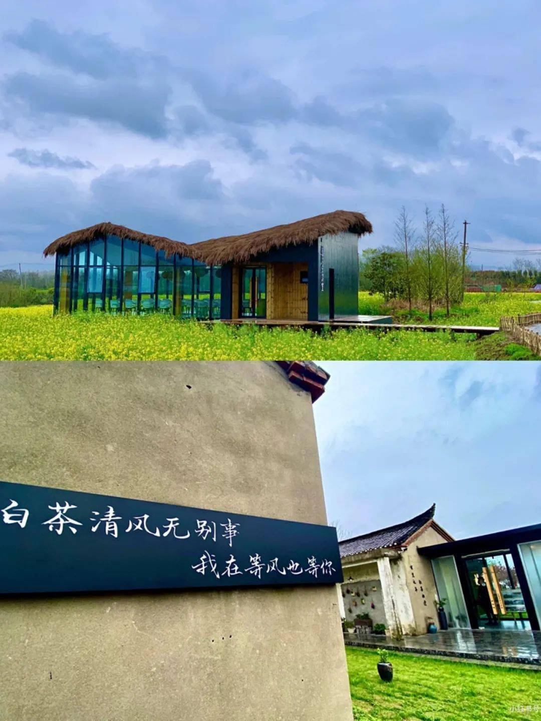 合肥30个秋游好去处!赏花,拍照,爬山,烧烤,想怎么嗨都