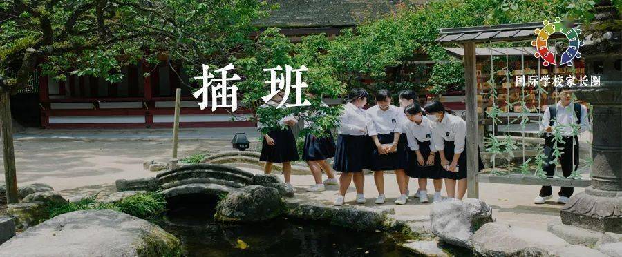 北京2020各高校普通_2020最新北京国际学校插班生就读流程来啦!码住!