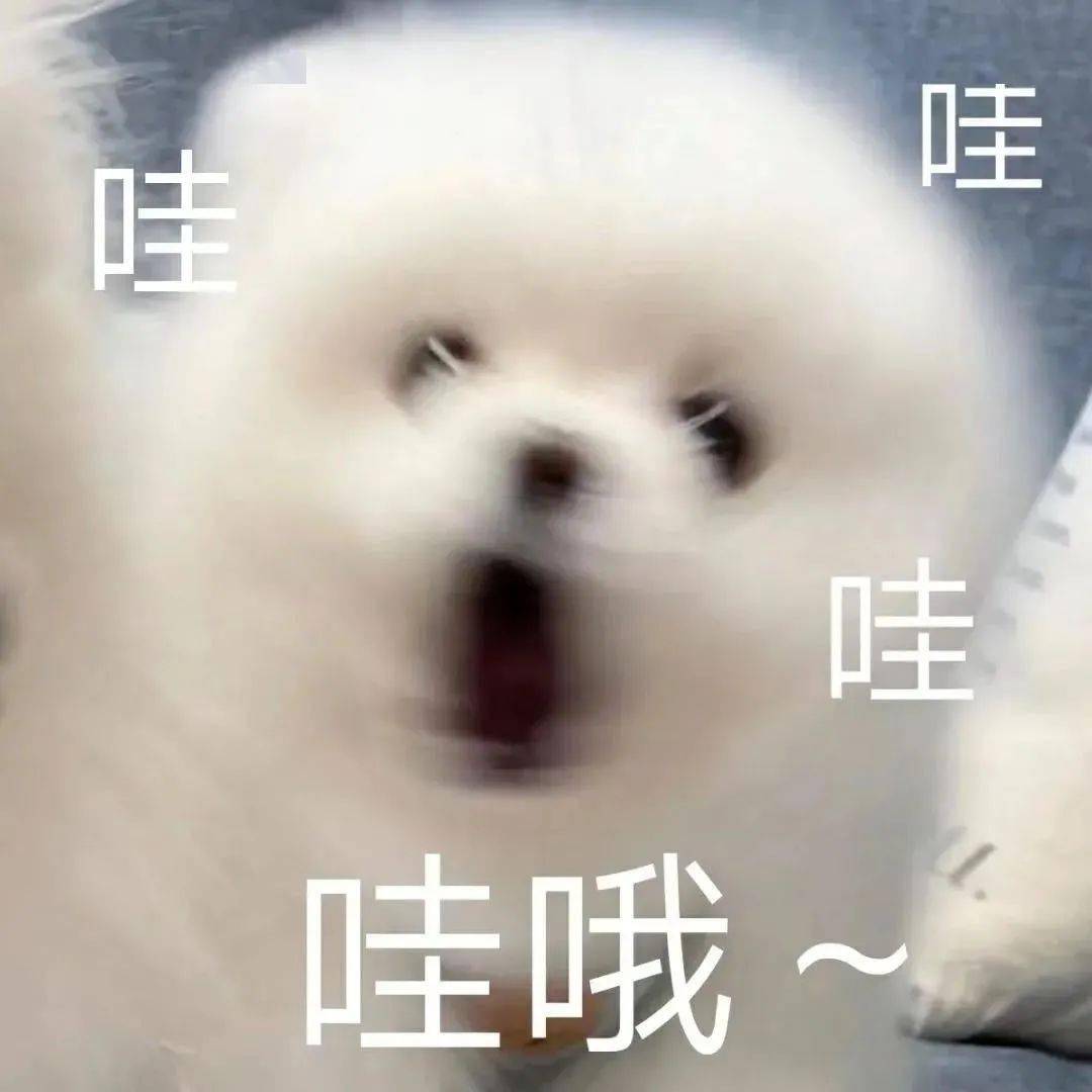 欧气|幸运来了千万不要嘚瑟，不然洗出七绝不修也不会让人快乐…