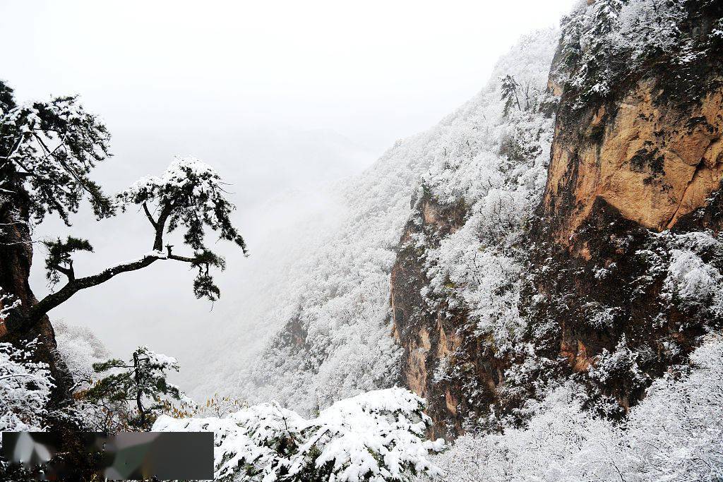 崆峒山上的雪景.(来源:视觉中国)游人迎雪前来观赏.