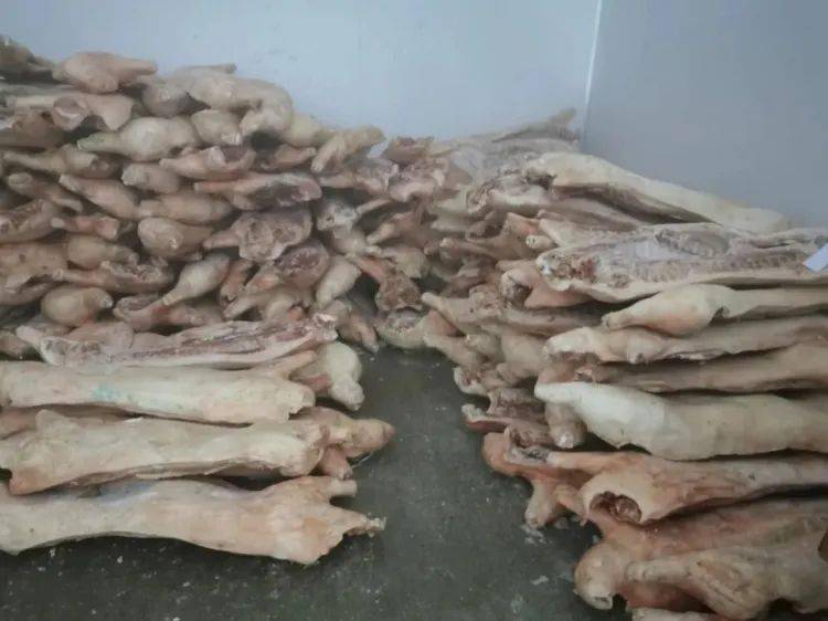 宜宾一团伙销售含非洲猪瘟病毒的猪肉,数量竟多达30吨