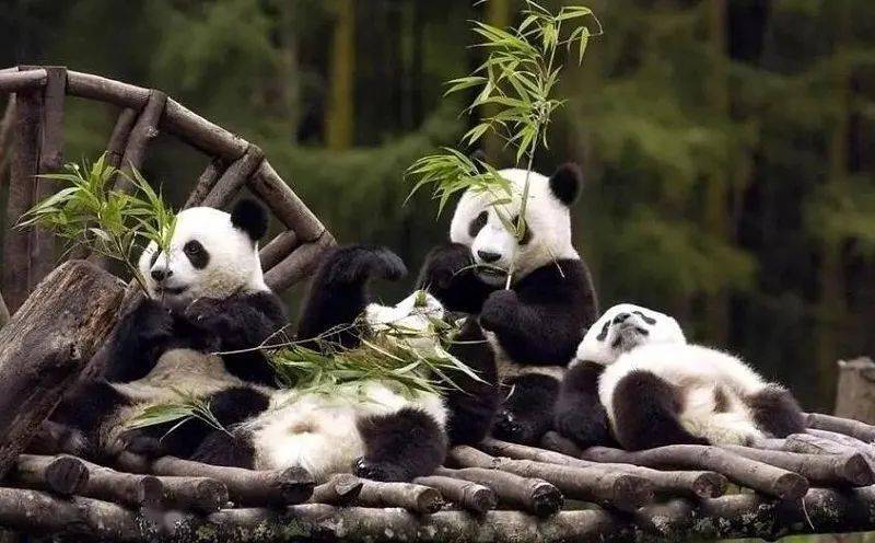 快手最美网红2020年_快手网红文旅大会系列营销活动荣获2020年