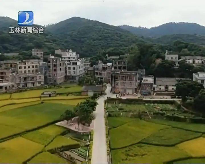乡村振兴丨北流大坡外镇:示范引领推进"三清三拆",建设宜居美丽乡村