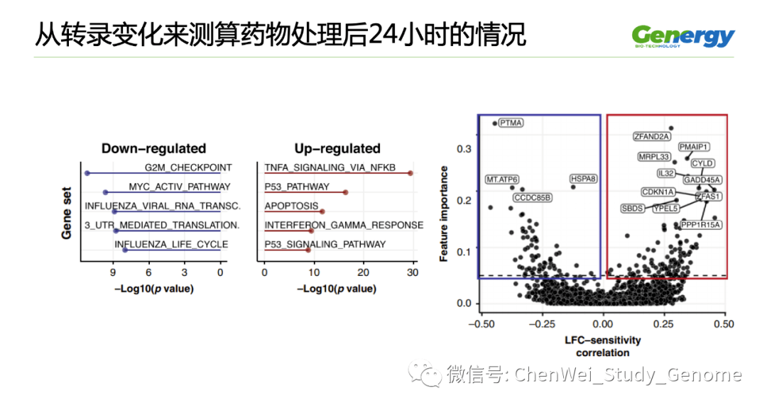 细胞疗理仪是什么原理_雾疗是什么