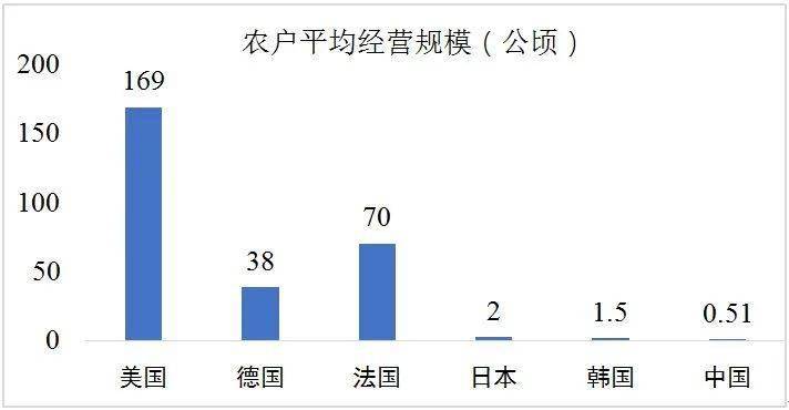 解决城市人口过多_中国大城市是人口过多,还是分布失衡(2)