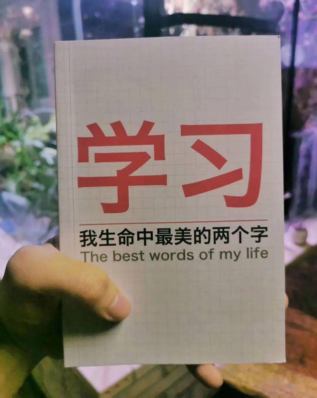 教育的怪圈:老师跪求学生,家长投诉老师,学生惩罚家长