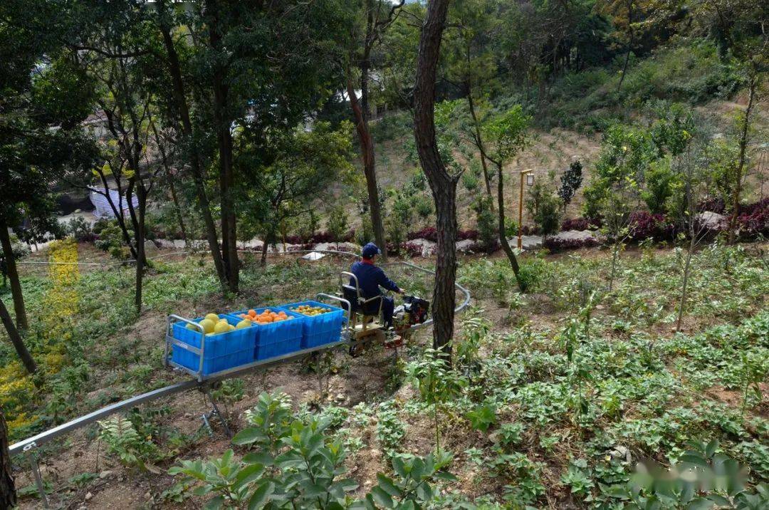 新品安装简单便捷实用的山地果园单轨运输机作业视频