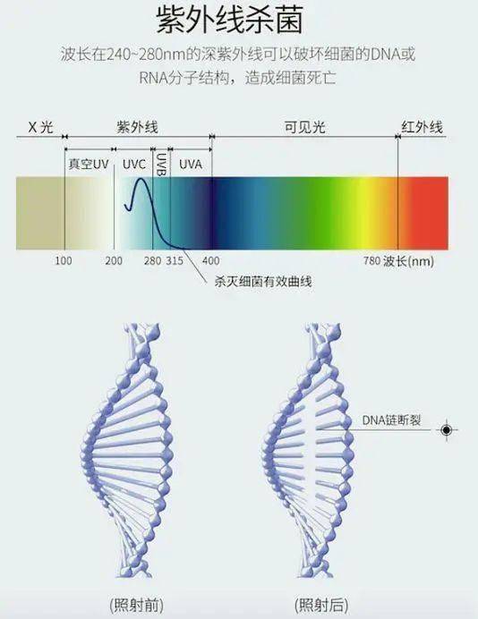 怎么判定紫外线杀菌灯的杀菌性能是否达标?标准解读来