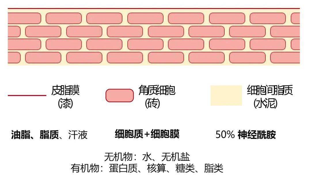 皮肤|推广|| 逢打折必入单品来啦，只要不停产我会一直买