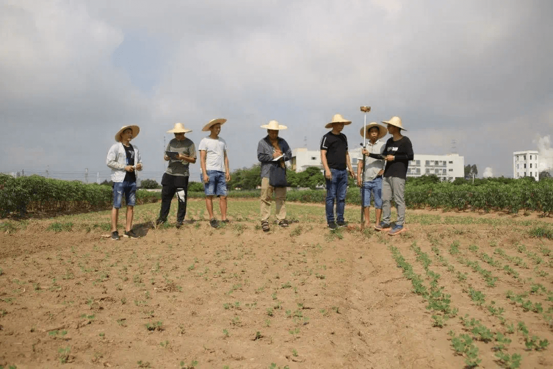 铁山人均gdp_铁山坪森林公园(3)