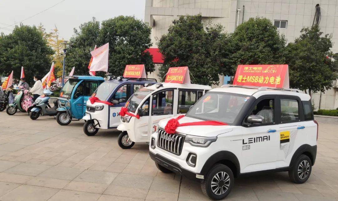 8个知名品牌电动车 (绿能,台铃,爱玛,新蕾,海宝,福田五星,雷迈及江苏