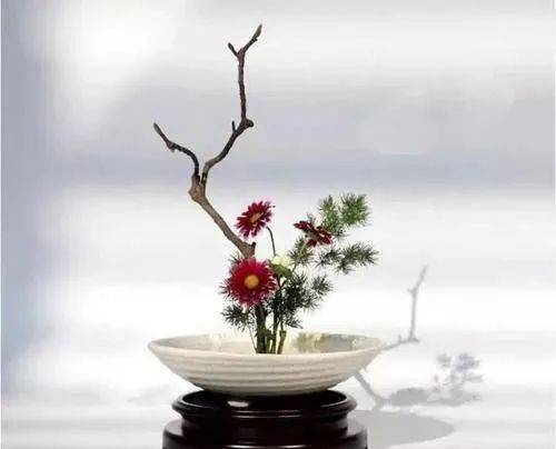 插花,是把剪切下来的花,插在瓶或盘等容器中.