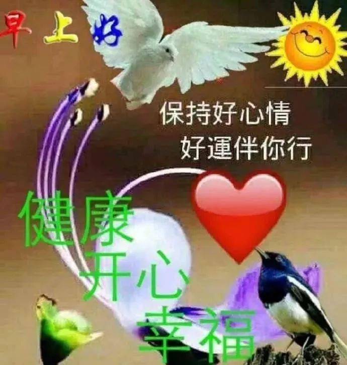 最新版非常漂亮的早上好表情图片 温馨早安心语语录