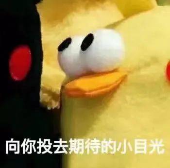 美女|你是不是美女，看这5点就知道！