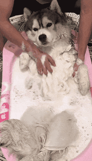 300_524 竖版 竖屏