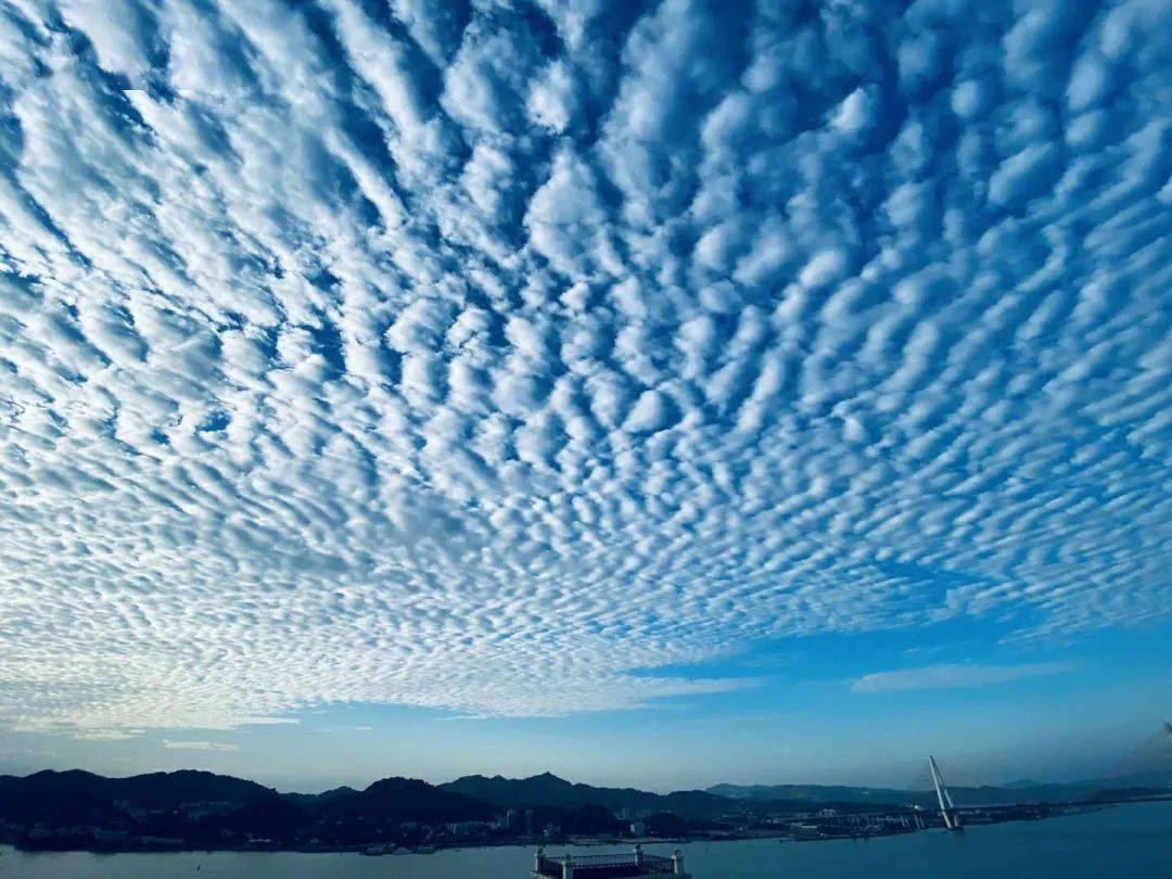 秋高气爽,上午,蔚蓝天空出现了一片片"鱼鳞"般的云朵,吸引了不少市民
