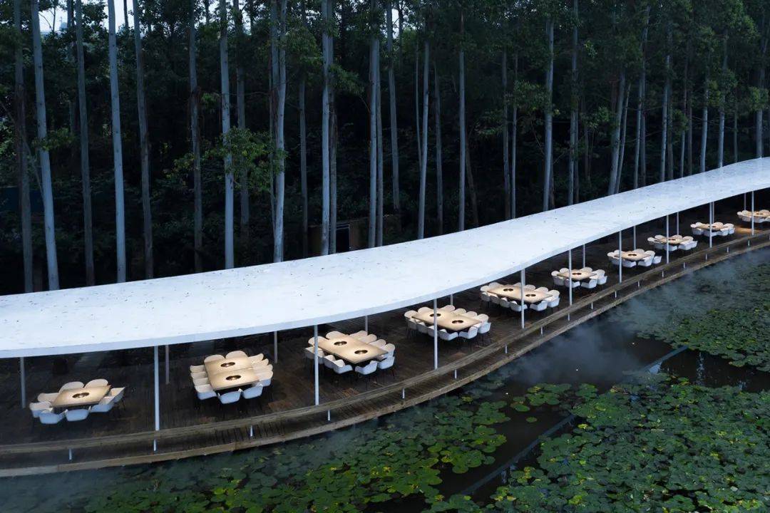 从大兴机场到“山之厕”,这些获奖建筑引领了中国潮流