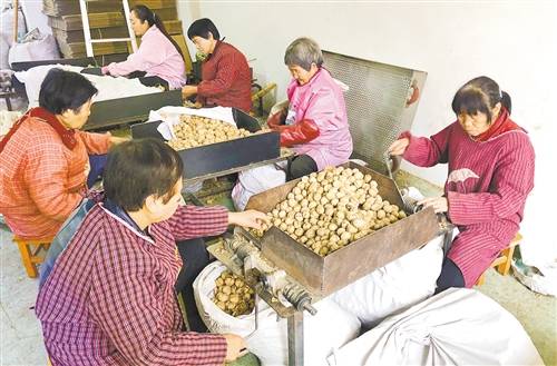 就业|就近就业促增收