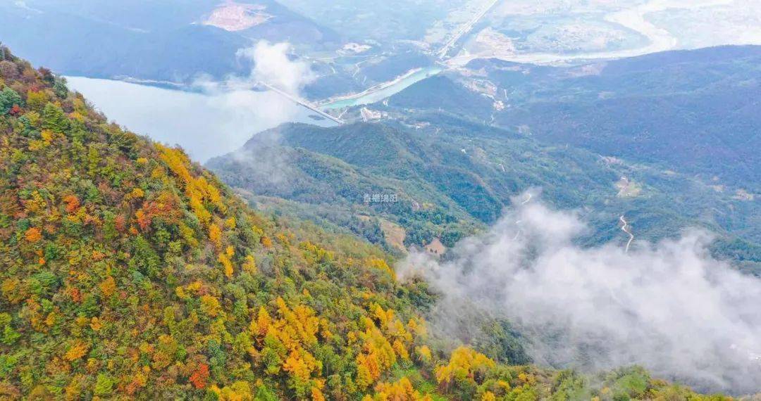 江油观雾山层林尽染 漫山斑斓!