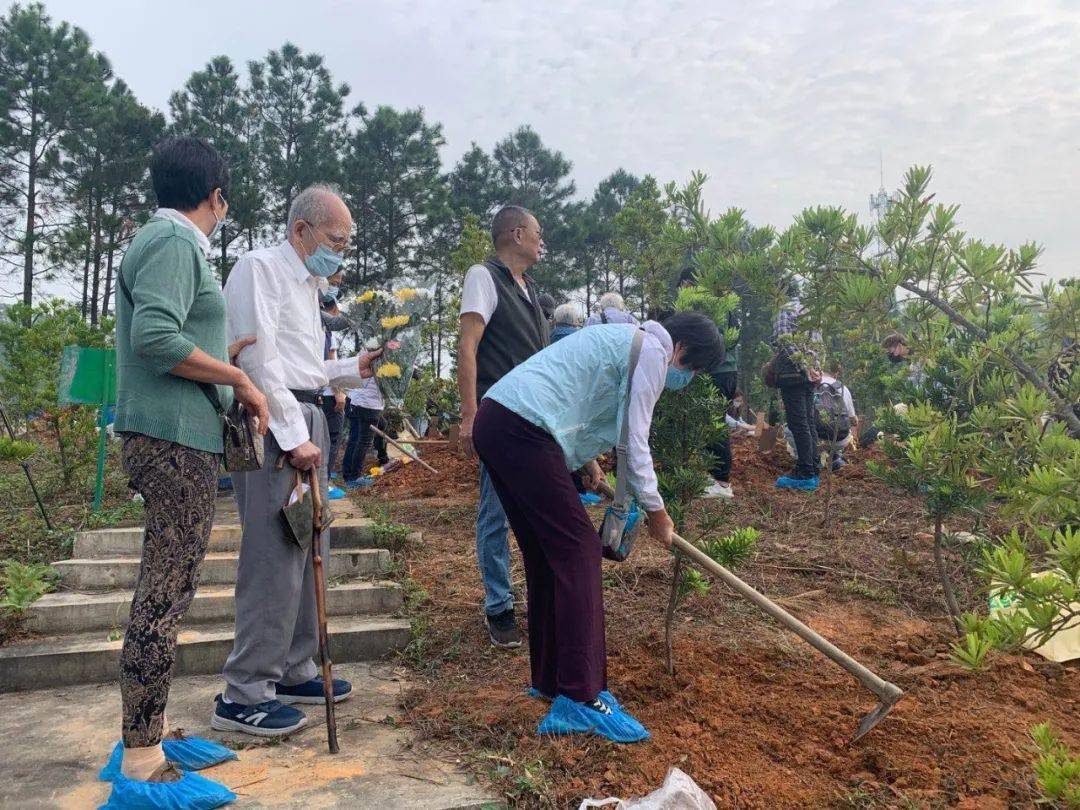 移风易俗树新风我市举行骨灰植树公益活动