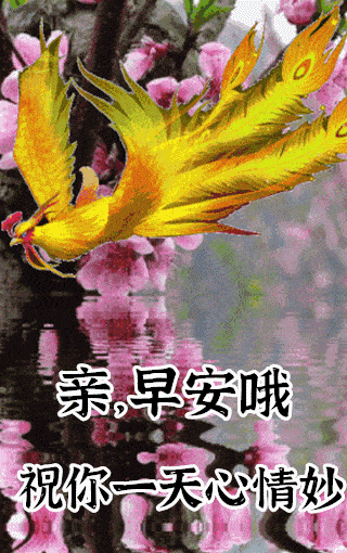 320_510竖版 竖屏gif 动态图 动图