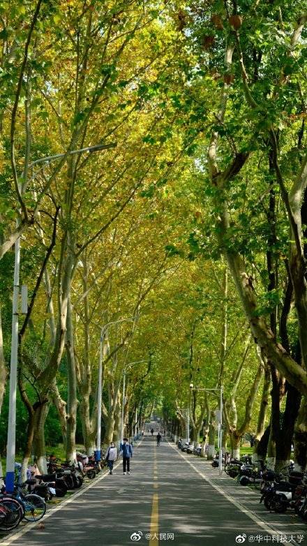 校园|醉了醉了！全国高校秋色大赏来了