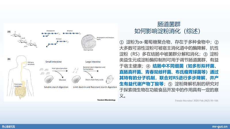 产业|热心肠先生：23分钟详解血糖、碳水化合物与菌群前沿进展