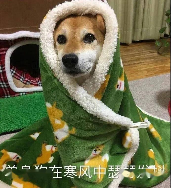 床垫|喜临门 × 京东,11.11疯狂买一送一啦!