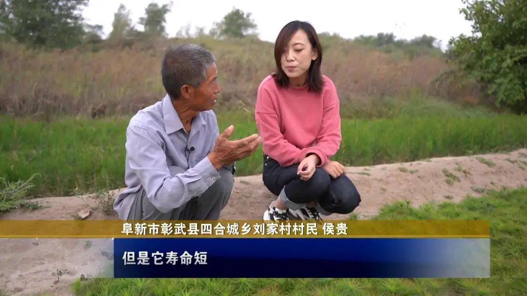 【走向我们的小康生活 】 阜新:"金沙"铺就小康路_彰武